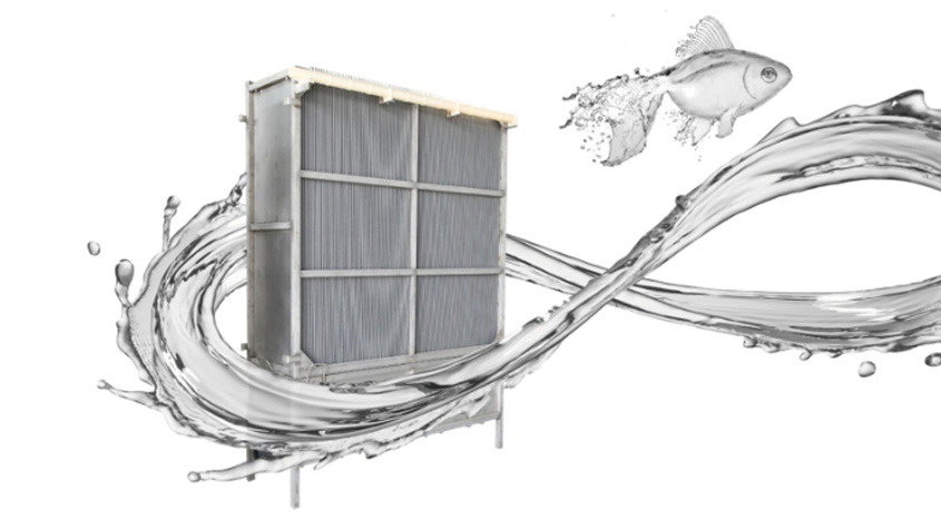 Peier Membrane takes you to a comprehensive understanding of MBR flat film